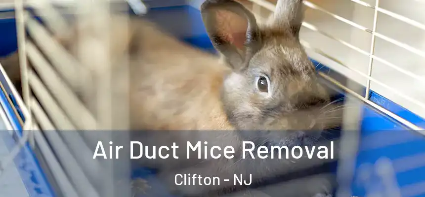 Air Duct Mice Removal Clifton - NJ