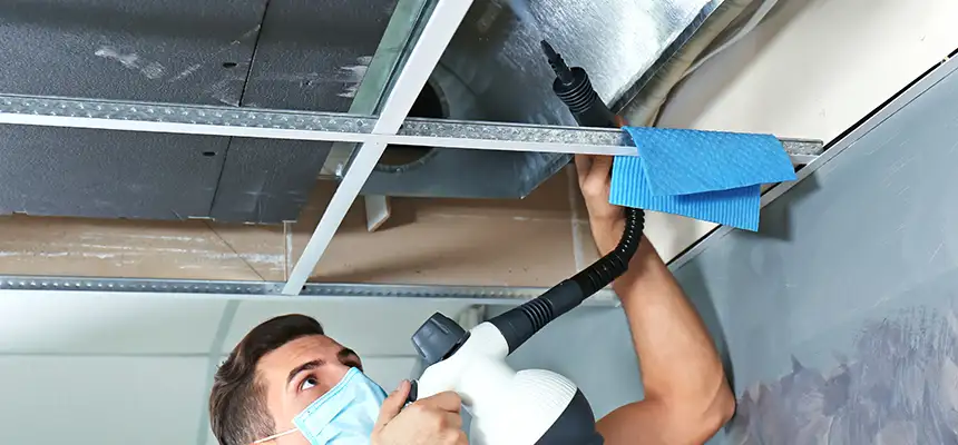 Our Air Duct Rodent Removal Services in Clifton, NJ