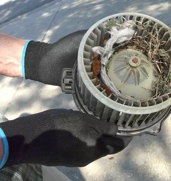 About Air Duct Rat Removal in Clifton, NJ