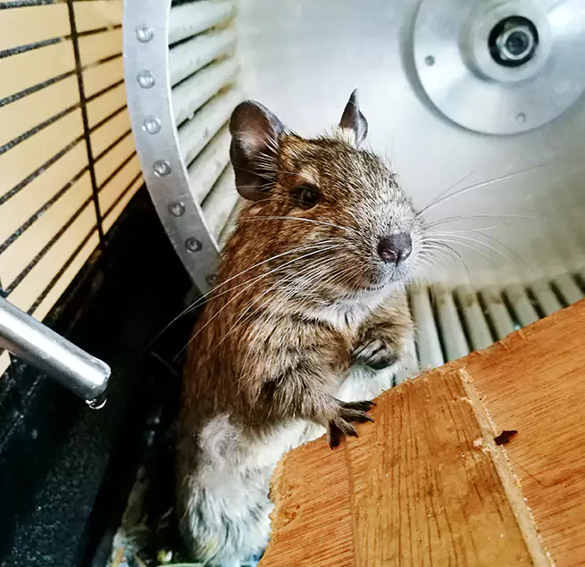 Why Homeowners & Businesses Trust Us Clifton, NJ?